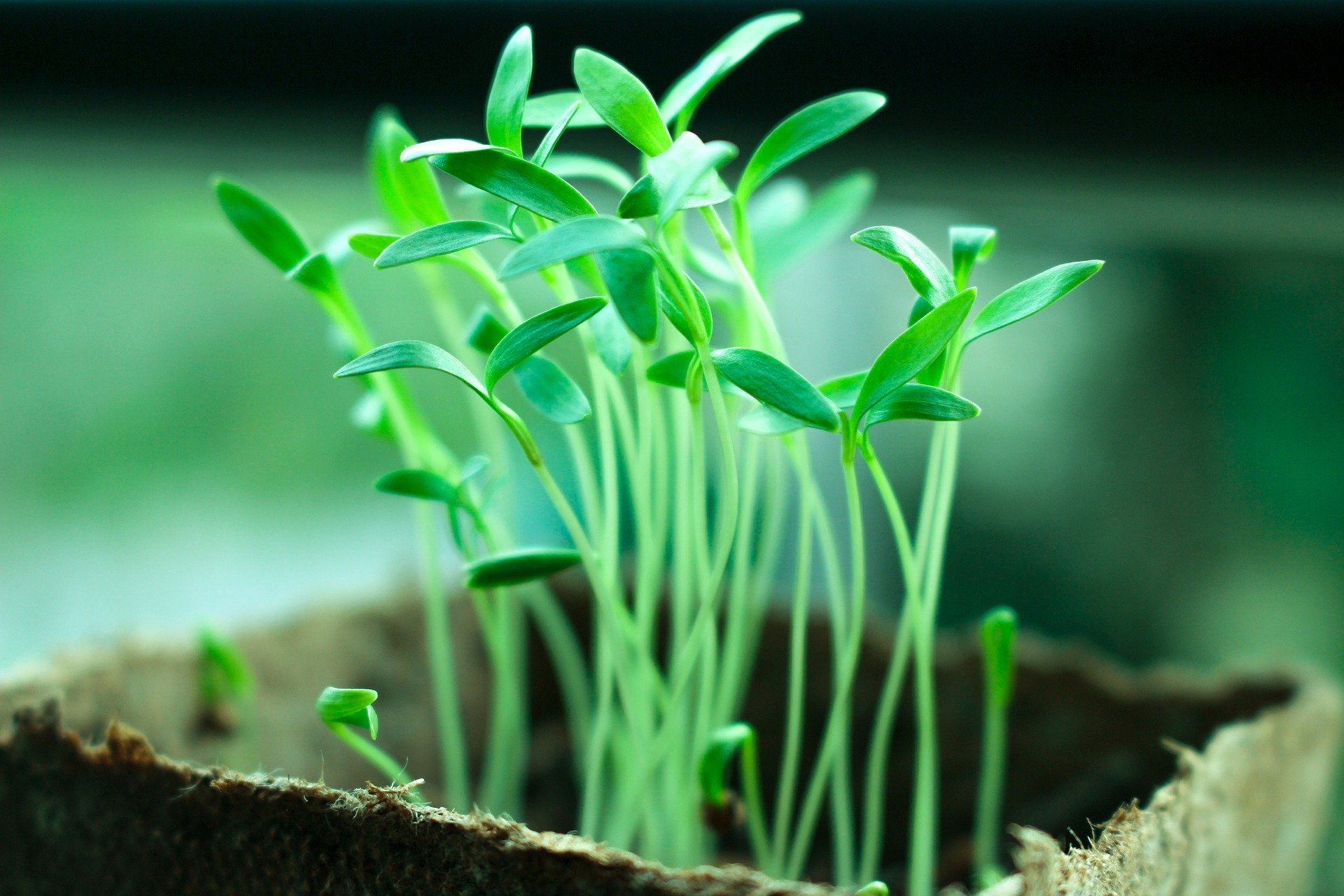 Un Jardin Moderne et écologique