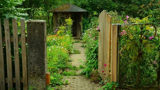 Le jardin : un terrain agréable pour un pique-nique